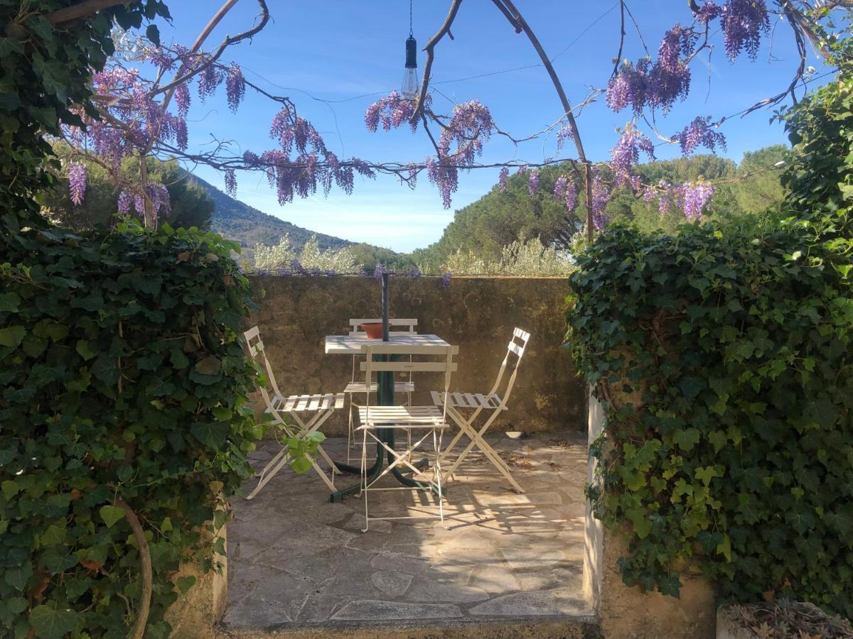 Hotel La Picholine En Provence Nyons Zewnętrze zdjęcie